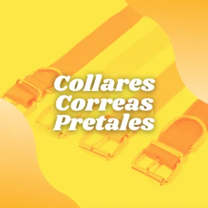 Collares, correas, pretales