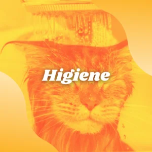 Higiene