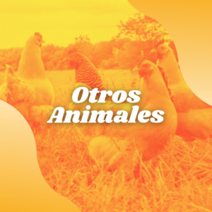 Otros animales