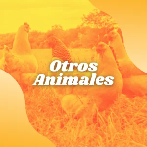 Otros animales